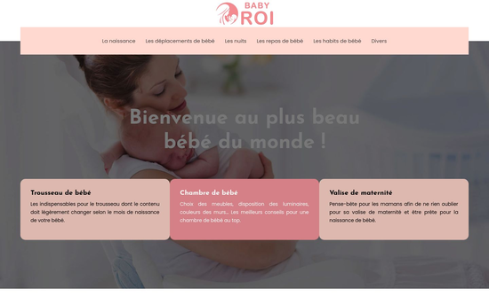 babyroi.fr